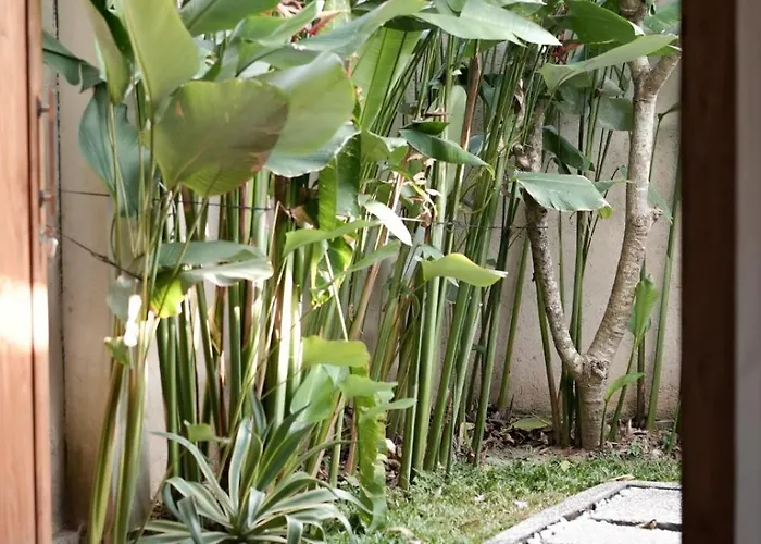 Balinese With Pool, Rooftop & Digital Nomad Ready *