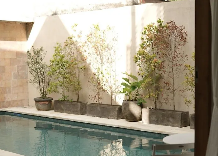 Balinese With Pool, Rooftop & Digital Nomad Ready