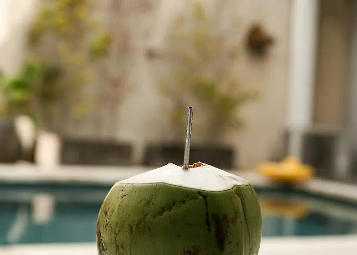 Balinese With Pool, Rooftop & Digital Nomad Ready *